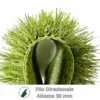 Campione di erba sintetica senza intaso Londra Eco Design 30, con ciuffi densi e un'altezza di 30 mm. Ideale per giardini e aree per animali.