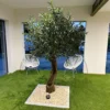 Ulivo artificiale 250 cm con tronco naturale e chioma folta, ideale per arredare interni ed esterni senza manutenzione.
